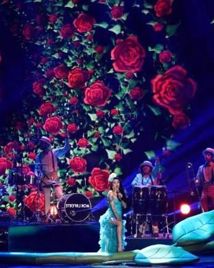 Live concert by Mariachi Concert