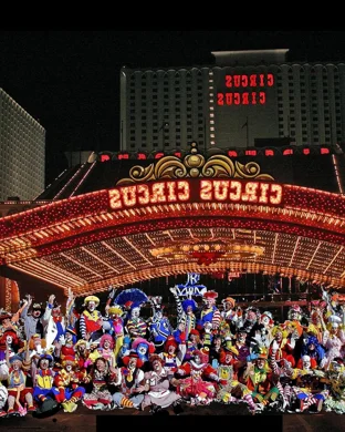 Circus Golden Star