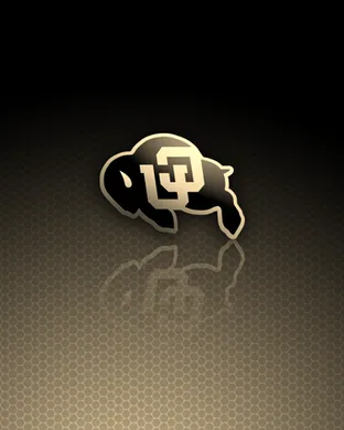 Colorado Buffaloes vs. UTEP Miners sports event