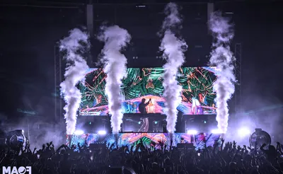 Foam Wonderland