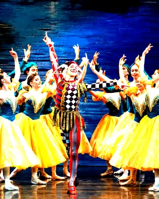 International Ballet Stars: Swan Lake theatre performance
