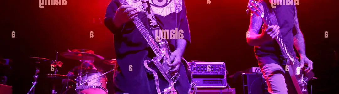 The Melvins