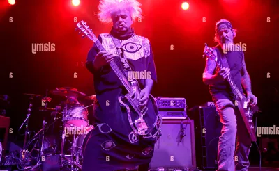 The Melvins