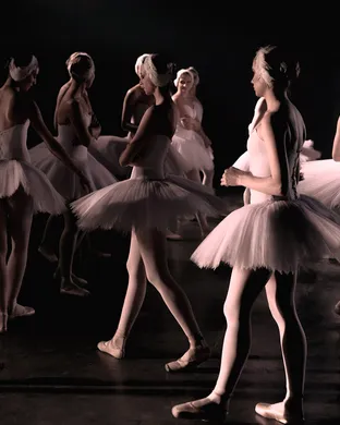 World Ballet Company: Swan Lake with Live Orchestra