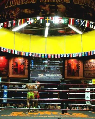 Red Owl Boxing