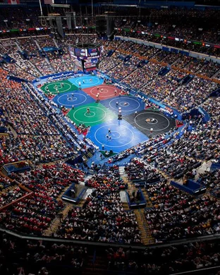 Combat Fighting Championship